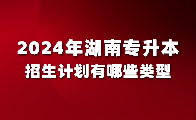 2024年湖南專升本招生計劃有哪些類型