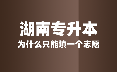湖南專升本為什么只能填一個志愿？